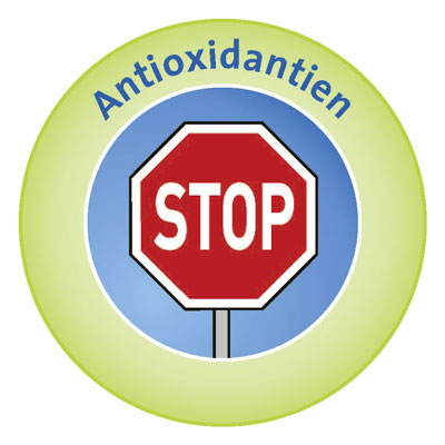 Grafik Antioxidantien