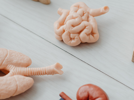 Statine & Cholesterinsenker