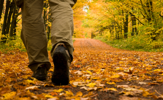 Regelmäßige Bewegung