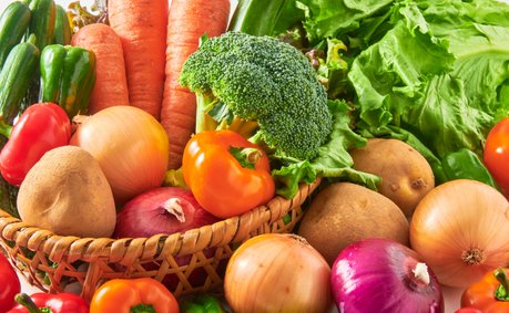 Säure-Basen-Haushalt