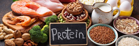 Protein