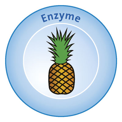Grafik Enzyme