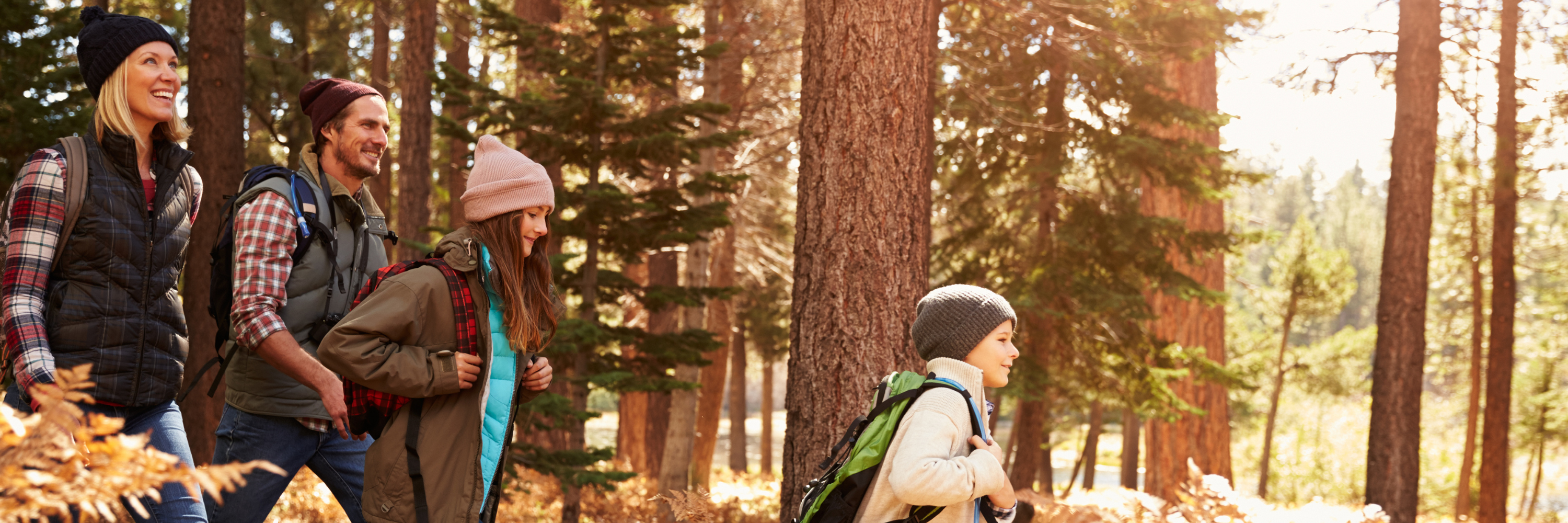 Ganzheitlich gegen Grippeviren