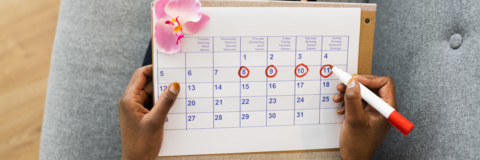 Menstruationszyklus