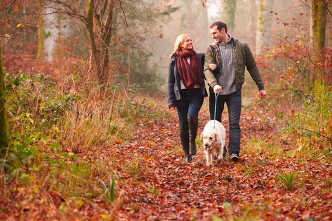 Paar mit Hund läuft im Herbst durch Wald